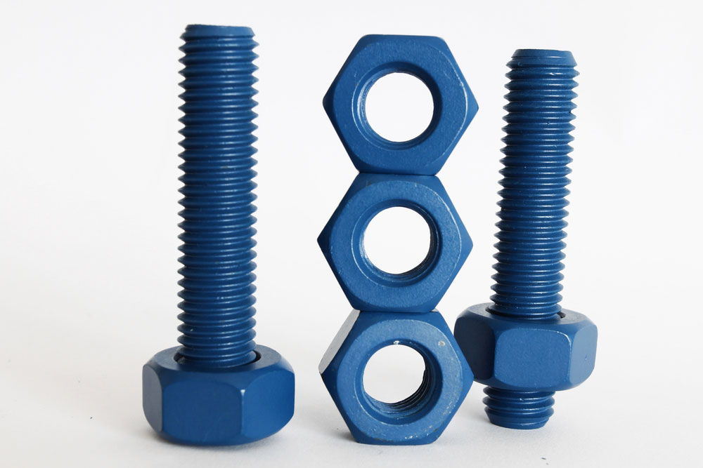 Xylan Coated Nuts and Bolts